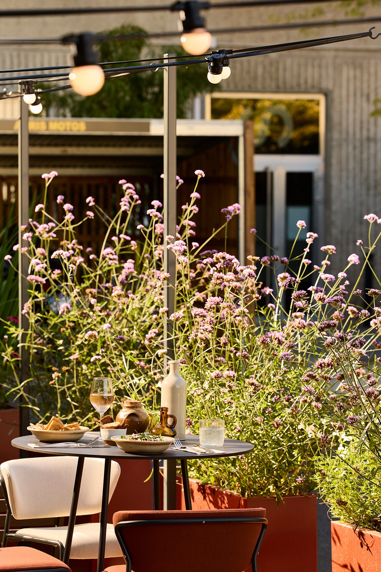 Terrasse ensoleillée